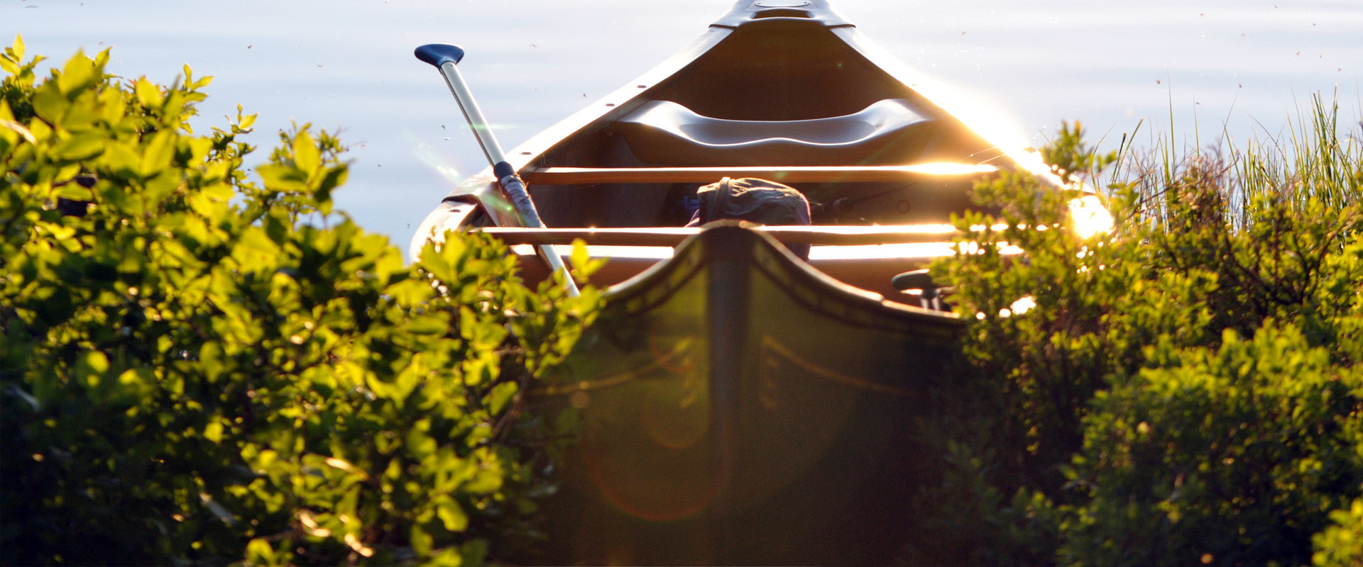 攻击网站的方法