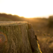 手机版ddos攻击器