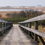 怎么去攻击一个网站与防护